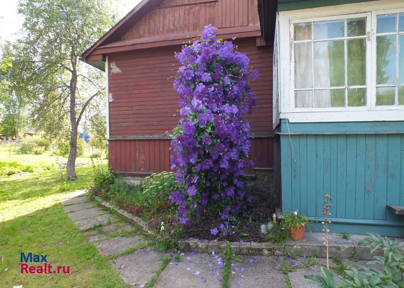 купить частный дом Струги Красные Струго-Красненский р-н, пос. городского типа Струги Красные