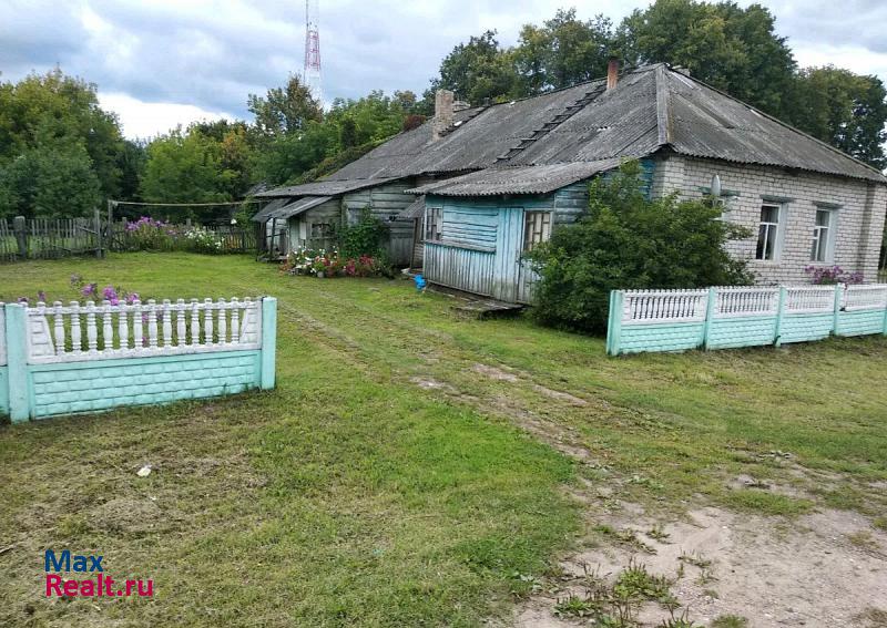 Понизовское сельское поселение, село Понизовье, улица имени К.Н. Чибисова, 6 Демидов квартира