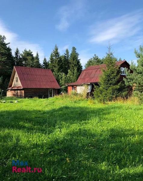 купить частный дом Сясьстрой Сясьстройское городское поселение, деревня Пульница