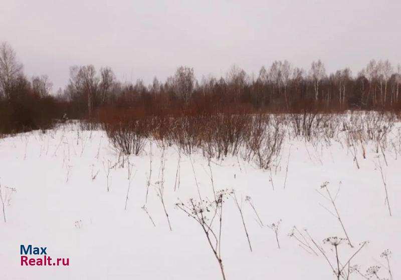 купить частный дом Воскресенское Воскресенский район, деревня Елдеж, Набережная улица