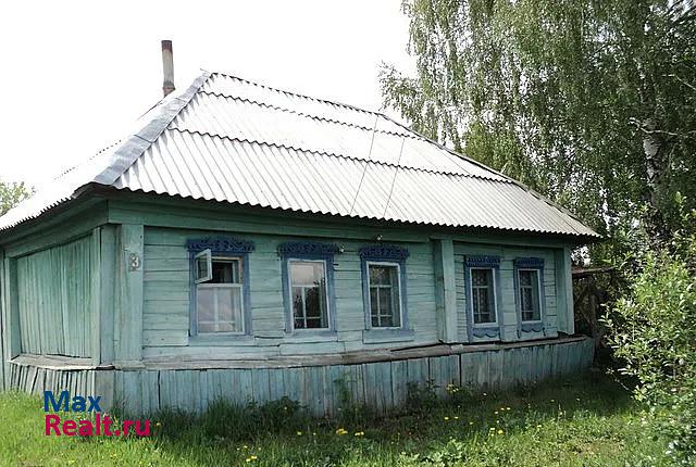 купить частный дом Шатки сельское поселение Силинский сельсовет, село Новое