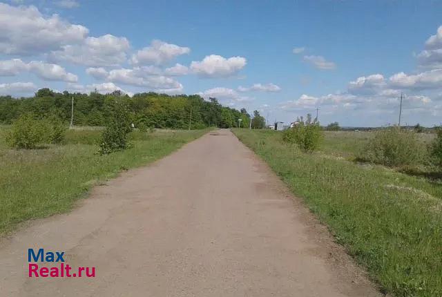 купить частный дом Мариинский Посад Чувашская Республика, деревня Водолеево, Лесная улица