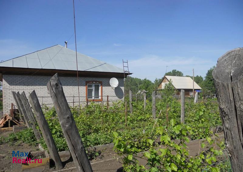 купить частный дом Алтайское село Алтайское