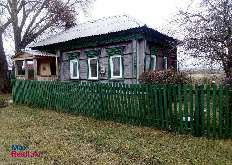 купить частный дом Спасск-Рязанский село Гавриловское, Нижняя улица, 38