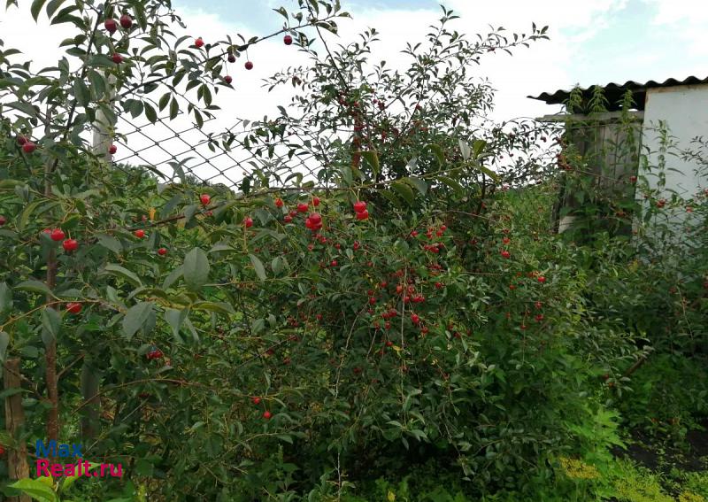 купить частный дом Исетское поселок Коммунар, улица Карла Маркса, 11