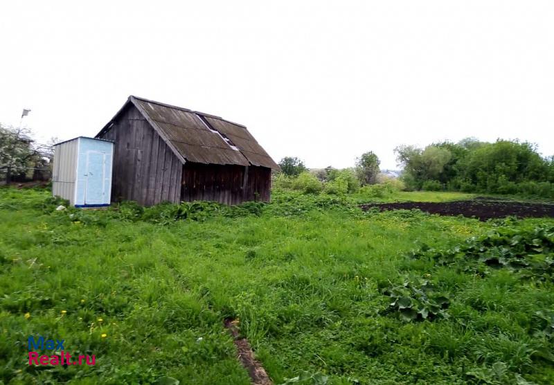 купить частный дом Мензелинск село Кузкеево