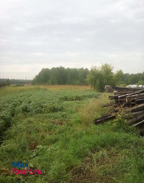 купить частный дом Долгодеревенское Сосновский район, деревня Шимаковка