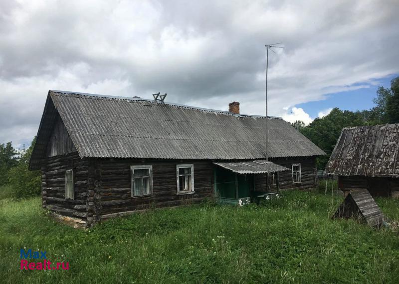 купить частный дом Печоры деревня Затрубье-Лебеды