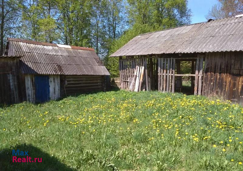 купить частный дом Невель деревня Топоры