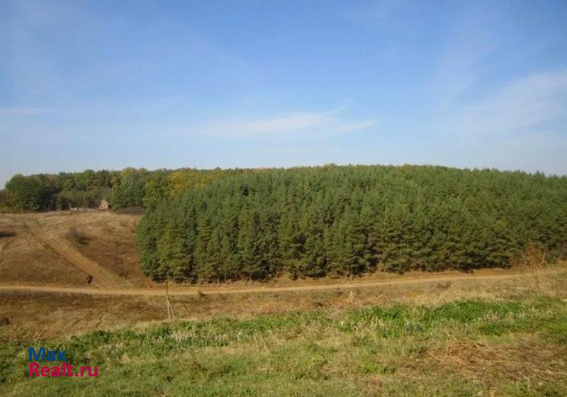 купить частный дом Борисовка село Акулиновка, Хуторская улица