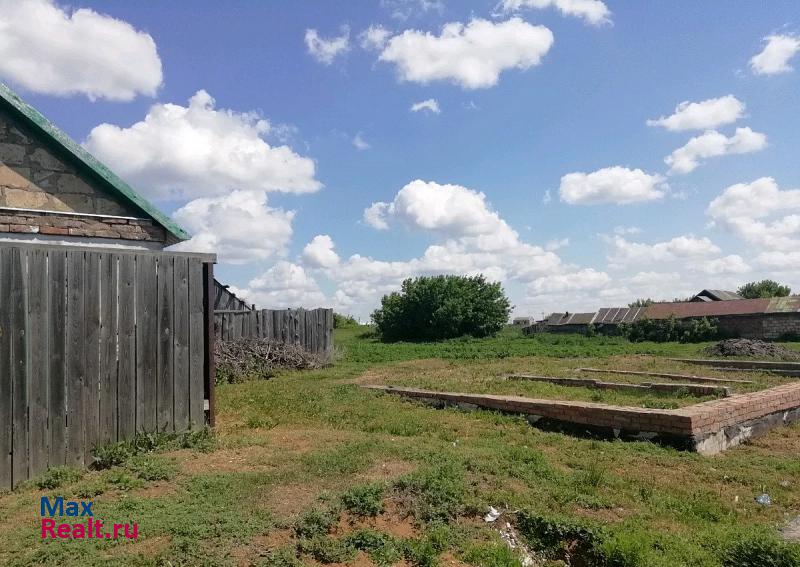 купить частный дом Борское Борский район, село Коноваловка