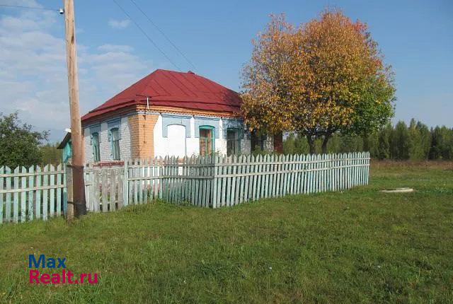 купить частный дом Сасово село Свищёво