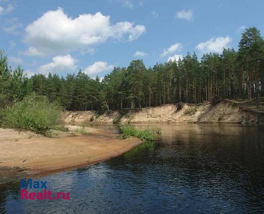 купить частный дом Спас-Клепики деревня Тамышёво, 62