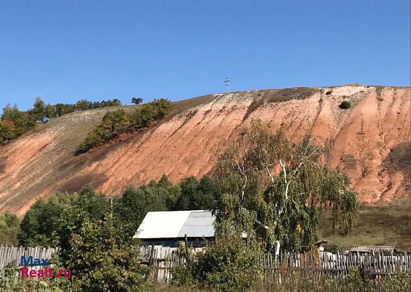 купить частный дом Красный Яр село Большая Каменка, Центральная улица