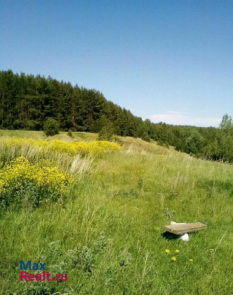 купить частный дом Мамадыш Удмуртская Республика, деревня Бажениха