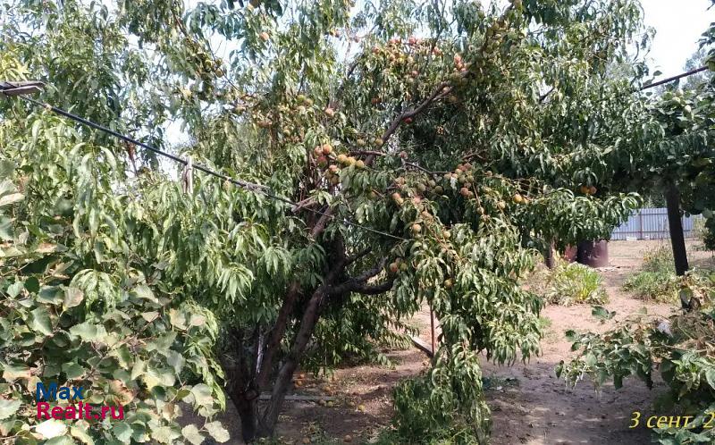 купить частный дом Нариманов Енотаевский район, село Замьяны