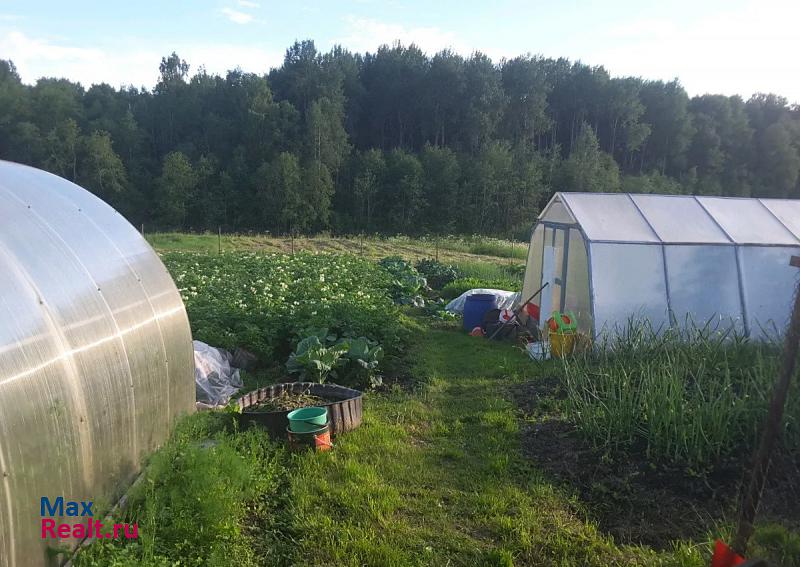 купить частный дом Любань Трубникоборское сельское поселение, деревня Черемная Гора