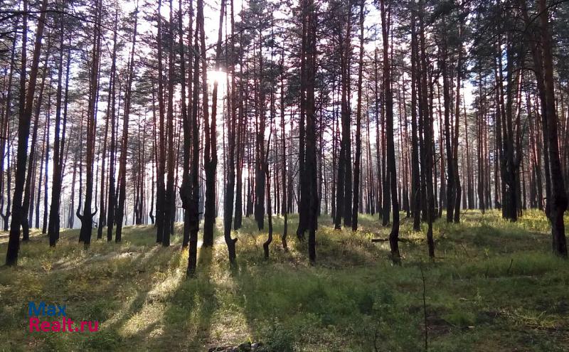 снять дом Волжский Золотой бор