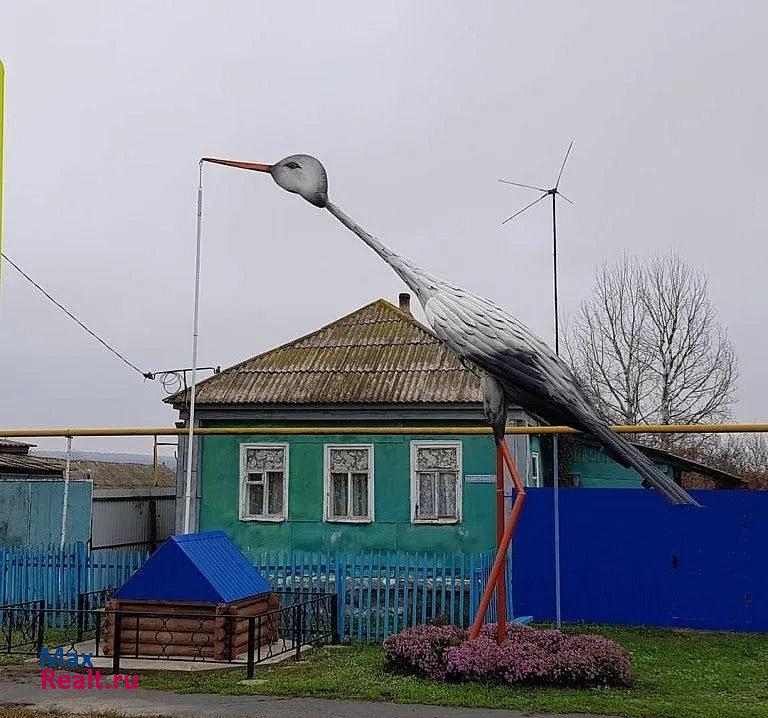 купить частный дом Калининск село Большая Рельня, Заречная улица