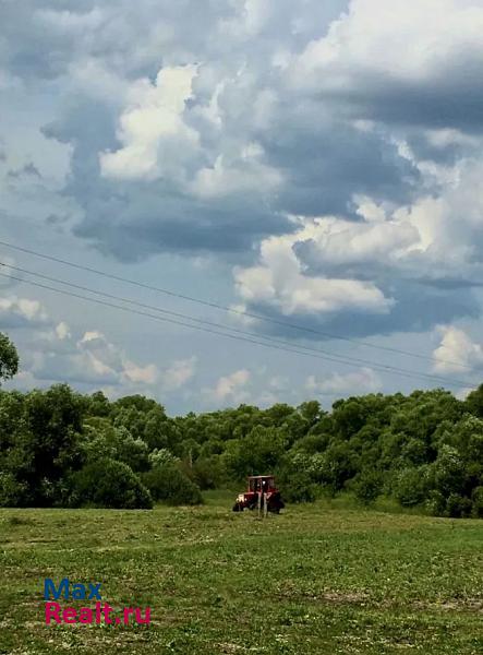 купить частный дом Ряжск Ряжский район, село Салтыки