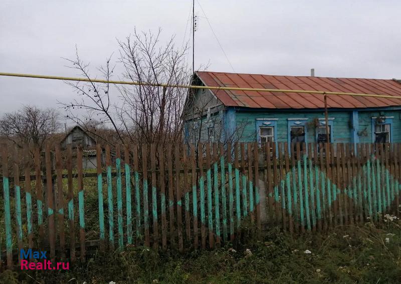 купить частный дом Каменка село Александровка, Райская улица