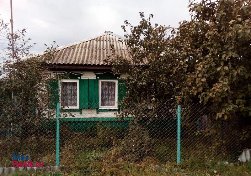 купить частный дом Павловск село Николаевка