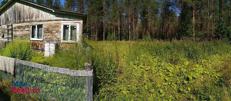 Медвежьегорск Пиндушское городское поселение, деревня Лумбуши