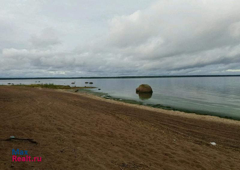 Приморск Выборгский район, Приморское городское поселение