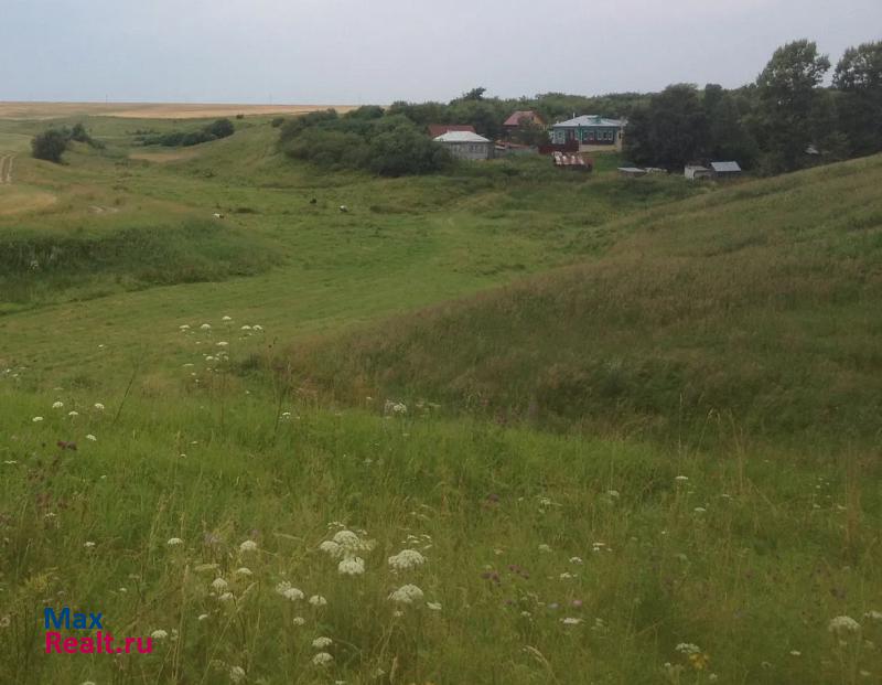 купить частный дом Павлово Нижегородская обл., Павловский р-н, д. Ясенцы