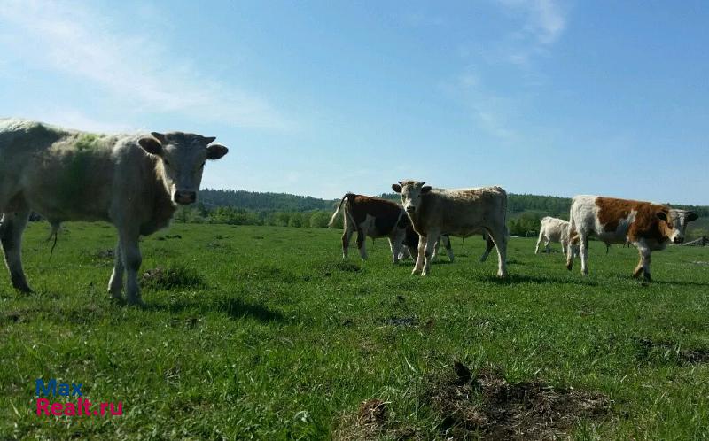 Иркутск осинский район частные дома