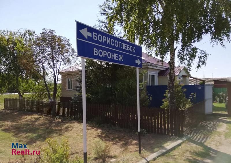 Воронеж городской округ Воронеж частные дома