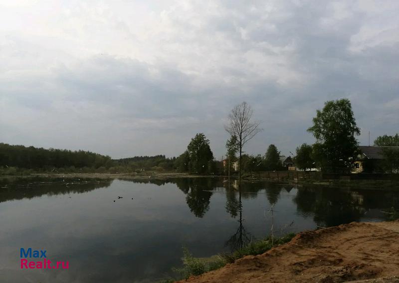 Пермь посёлок Ласьва, Спортивная улица, 5 частные дома