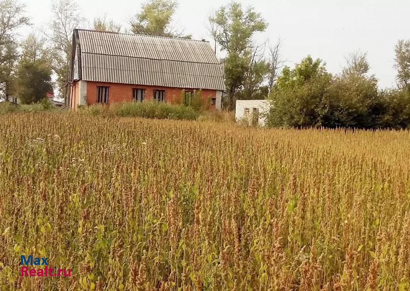 Воронеж Новоусманский р-н., поселок с-з Воронежский частные дома