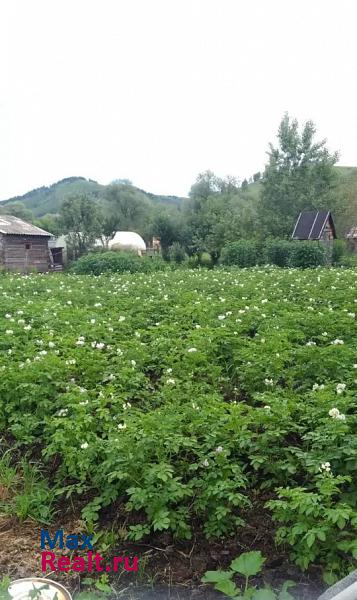 Горно-Алтайск Майминский район, село Кызыл-Озек, улица Гагарина частные дома