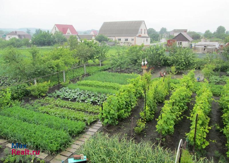 Валуйки село Новая Симоновка, Озёрный переулок дом