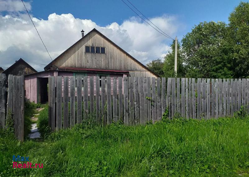 Пермь деревня Ельники, Добрянский городской округ