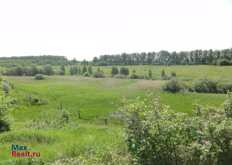 Нижний Новгород Кстовский район село Безводное, СНТ Родник