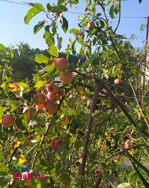 Туапсе село Кроянское, Сочинское шоссе продажа частного дома