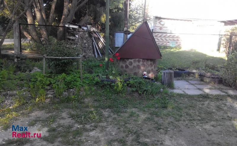 Панковка деревня Видогощь