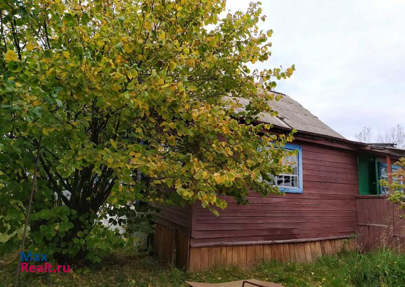 Пенза село Лопатки, Бессоновский район продажа частного дома