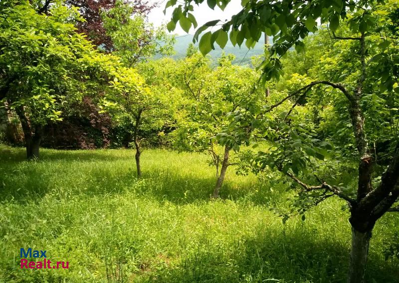 Сочи село Пластунка, садоводческое товарищество Айва продажа частного дома