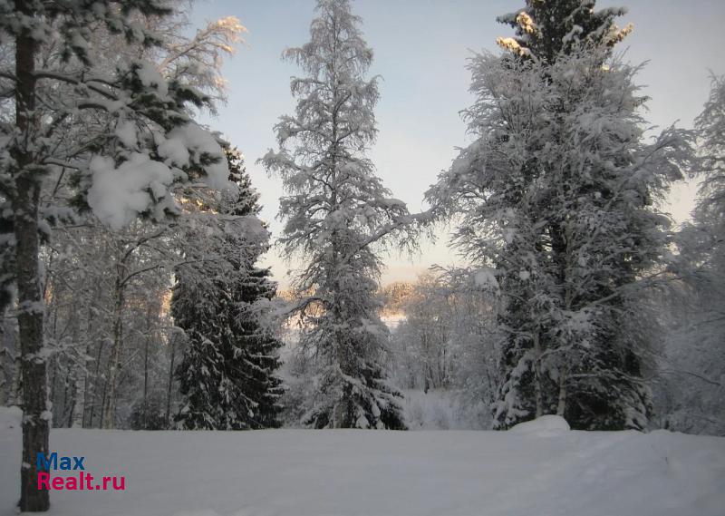 Всеволожск Всеволожский р-н, Лесколовское поселение, поселок Киссолово, уч.187 продажа частного дома