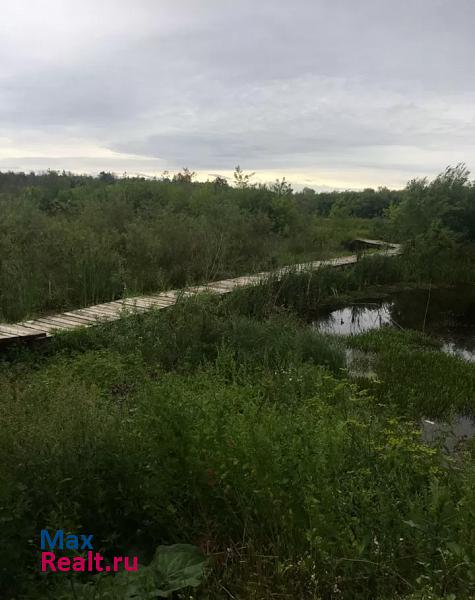 Глазов Удмуртская Республика, Пригородная улица, 1 частные дома