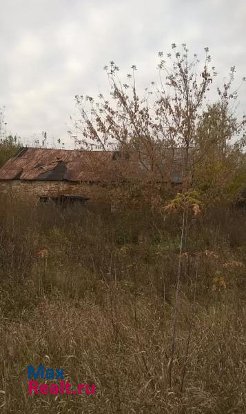 Мичуринск село Глазок, Революционная улица частные дома