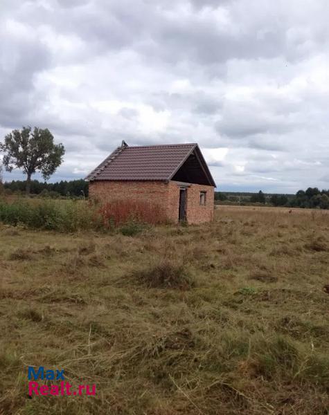 Железногорск Деревня Громашевка, ул.Садовая частные дома