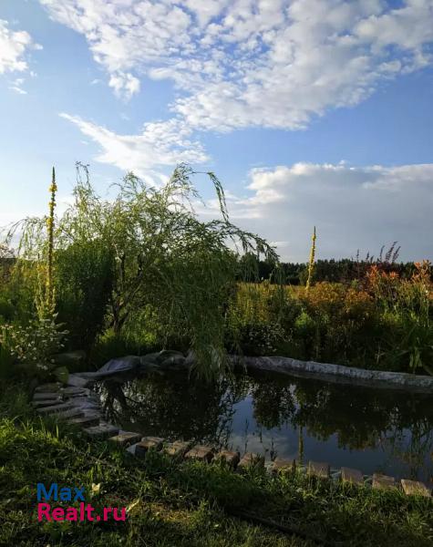 Железногорск село Троицкое, Молодёжная улица частные дома