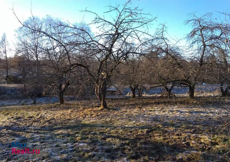 Великие Луки деревня, Великолукский район, Крупышево частные дома