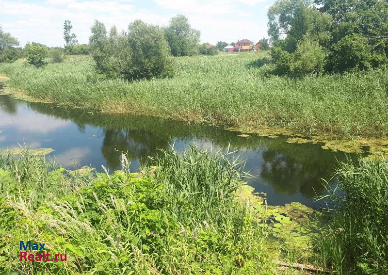 Верхняя Тишанка село Верхняя Тишанка, улица Чеснокова частные дома