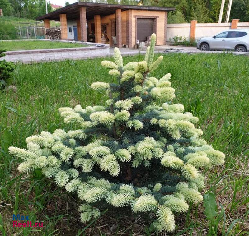 Смоленск деревня Кореневщина, Смоленский район частные дома