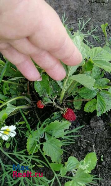 Выездное сельское поселение Слизневский сельсовет, село Ветошкино, Центральная улица